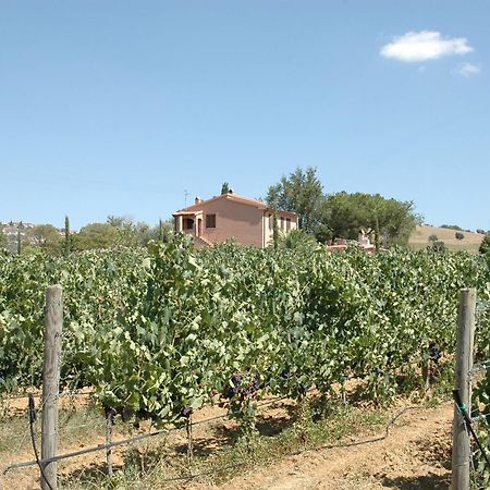 Agriturismo Pian Dei Pini Montiano  Exteriér fotografie