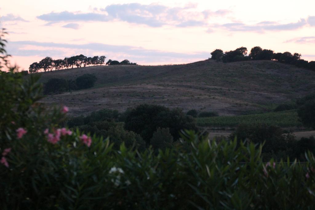 Agriturismo Pian Dei Pini Montiano  Exteriér fotografie