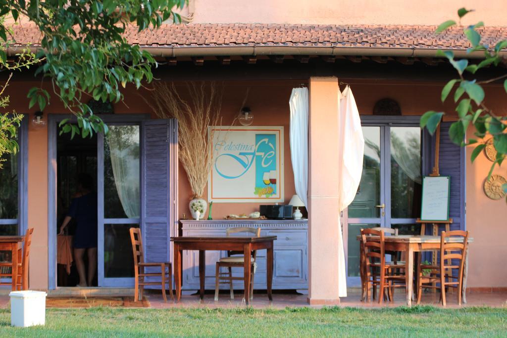 Agriturismo Pian Dei Pini Montiano  Exteriér fotografie